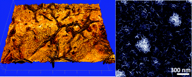Graphical abstract: Hybrid thin films of graphene nanowhiskers and amorphous carbon as transparent conductors