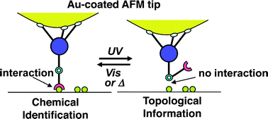 Graphical abstract: Photoswitching tripodal single molecular tip for noncontact AFM measurements: synthesis, immobilization, and reversible configurational change on gold surface