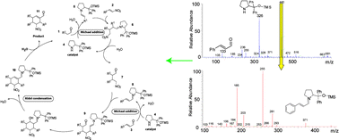 Graphical abstract: Electrospray mass spectrometry for detailed mechanistic studies of a complex organocatalyzed triple cascade reaction