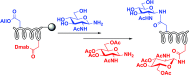 Graphical abstract: Synthesis of N-linked glycopeptides via solid-phase aspartylation