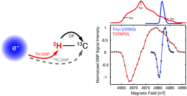 Graphical abstract: 2H-DNP-enhanced 2H–13C solid-state NMR correlation spectroscopy
