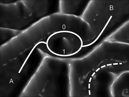 Graphical abstract: A quantum mechanics lab on a chip
