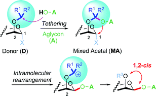 Graphical abstract: Recent advances in stereoselective glycosylation through intramolecular aglycon delivery
