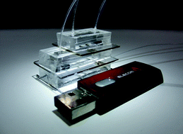 Graphical abstract: Automatic, sequential power generation for prolonging the net lifetime of a miniature biofuel cell stack