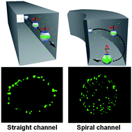 Graphical abstract: Vortex-assisted DNA delivery