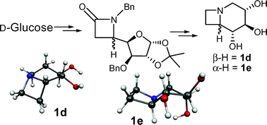 Graphical abstract: Synthesis, computational study and glycosidase inhibitory activity of polyhydroxylated conidine alkaloids—a bicyclic iminosugar