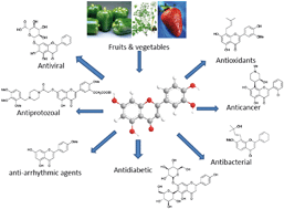 Graphical abstract: The biological potential of flavones