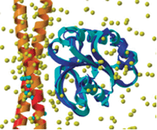 Graphical abstract: Protein–protein docking tested in blind predictions: the CAPRI experiment
