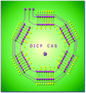 Graphical abstract: Microvalve and micropump controlled shuttle flow microfluidic device for rapid DNA hybridization