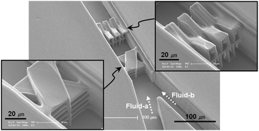 Graphical abstract: Three-dimensionally crossing manifold micro-mixer for fast mixing in a short channel length