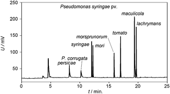 Graphical abstract: Electromigration techniques – a fast and economical tool for differentiation of similar strains of microorganisms