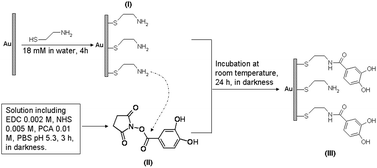Graphical abstract: A catechol-terminated self-assembled monolayer at the surface of a gold electrode and its application for the electrocatalytic determination of dopamine