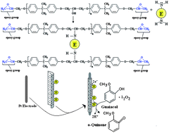 Graphical abstract: An amperometric polyphenol biosensor based on laccase immobilized on epoxy resin membrane