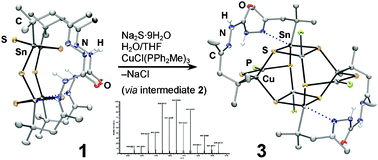 Graphical abstract: Directed derivatization of organotin sulfide compounds: synthesis and self-assembly of an SnS backpack-like cage and a CuSnS ternary cluster