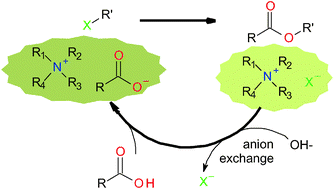 Graphical abstract: Esterification of carboxylate-based ionic liquids with alkyl halides