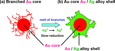 Graphical abstract: Synthesis of Au core Au/Ag alloy shell nanoparticles using branched Au nanoparticles as seeds