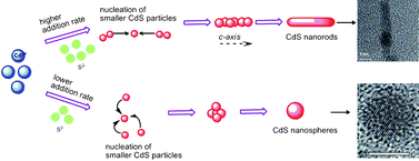 Graphical abstract: Synthesis of CdS nanorods and nanospheres: shape tuning by the controlled addition of a sulfide precursor at room temperature
