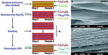 Graphical abstract: Topotactic synthesis of alternately stacked Ca3Co4O9/γ-Na0.66CoO2 composite with nanoscale layer structure