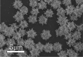 Graphical abstract: Fabrication of three dimensional CeO2 hierarchical structures: Precursor template synthesis, formation mechanism and properties