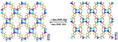 Graphical abstract: Two-step synthesis, structure and adsorption property of a dynamic zinc phosphonocarboxylate framework