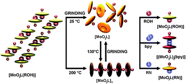 Graphical abstract: Mechanosensitive metal–ligand bonds in the design of new coordination compounds