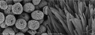 Graphical abstract: Fast preparation and growth mechanism of erythrocyte-like Cd2Ge2O6 superstructures via a microwave-hydrothermal process