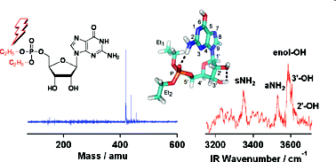 Graphical abstract: Gas-phase isolation of diethyl guanosine 5′-monophosphate and its conformational assignment