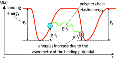 Graphical abstract: Maximum directionality and systematic classification of molecular motors