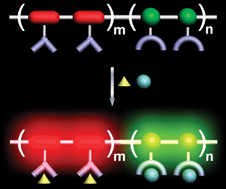 Graphical abstract: Recent progress on polymer-based fluorescent and colorimetric chemosensors