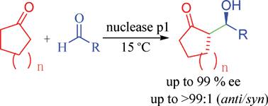 Graphical abstract: Nuclease p1: a new biocatalyst for direct asymmetric aldol reaction under solvent-free conditions