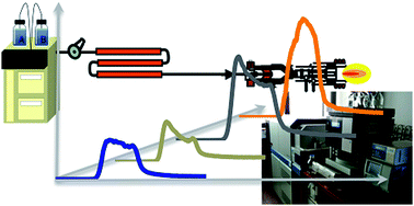 Graphical abstract: Multielement molecular size fractionation in crude oil and oil residue by size exclusion microchromatography with high resolution inductively coupled plasma mass spectrometric detection (HR ICP MS)