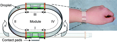 Graphical abstract: Droplet-on-a-wristband: Chip-to-chip digital microfluidic interfaces between replaceable and flexible electrowetting modules