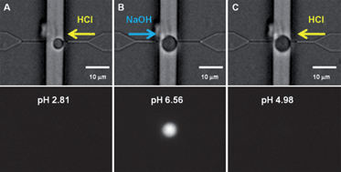 Graphical abstract: Interfacial tension controlled fusion of individual femtolitre droplets and triggering of confined chemical reactions on demand