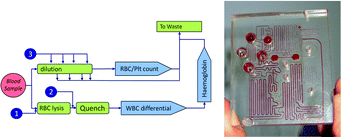 Graphical abstract: Integrated systems for rapid point of care (PoC) blood cell analysis