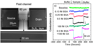 Graphical abstract: Ultrasensitive protein detection using lithographically defined Si multi-nanowire field effect transistors