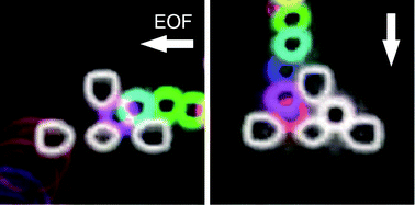 Graphical abstract: Open-access and multi-directional electroosmotic flow chip for positioning heterotypic cells