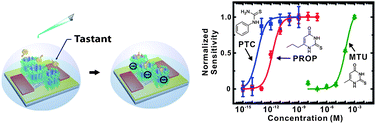 Graphical abstract: “Bioelectronic super-taster” device based on taste receptor-carbon nanotube hybrid structures