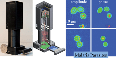 Graphical abstract: Holographic pixel super-resolution in portable lensless on-chip microscopy using a fiber-optic array