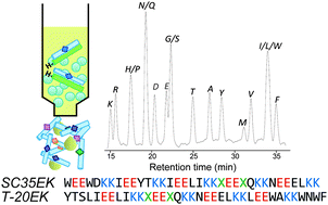 Graphical abstract: Affinity selection and sequence-activity relationships of HIV-1 membrane fusion inhibitors directed at the drug-resistant variants