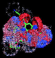 Graphical abstract: Scaffold-hopping from aminoglycosides to small synthetic inhibitors of bacterial protein biosynthesis using a pseudoreceptor model