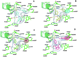 Graphical abstract: Sulfonyl-hydrazones of cyclic imides derivatives as potent inhibitors of the Mycobacterium tuberculosisprotein tyrosine phosphatase B (PtpB)