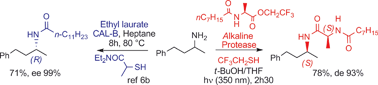 Graphical abstract: Switching from (R)- to (S)-selective chemoenzymatic DKR of amines involving sulfanyl radical-mediated racemization