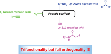 Graphical abstract: A universal and ready-to-use heterotrifunctional cross-linking reagent for facile synthetic access to sophisticated bioconjugates