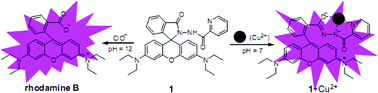 Graphical abstract: Highly sensitive and selective turn-on fluorescent and chromogenic probe for Cu2+ and ClO− based on a N-picolinyl rhodamine B-hydrazide derivative