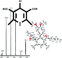 Graphical abstract: Synthesis, structural and conformational properties, and gas phase reactivity of 1,4-dihydropyridine ester and ketone derivatives