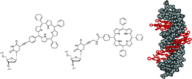 Graphical abstract: Introducing structural flexibility into porphyrin–DNA zipper arrays