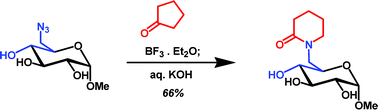 Graphical abstract: Synthesis of novel sugar-lactam conjugates using the Aubé reaction