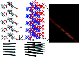 Graphical abstract: An amyloid-like fibril-forming supramolecular cross-β-structure of a model peptide: a crystallographic insight