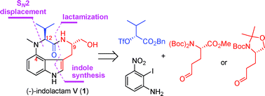 Graphical abstract: Total synthesis of (−)-indolactam V