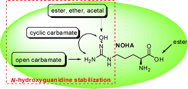 Graphical abstract: Prodrug design for the potent cardiovascular agent Nω-hydroxy-l-arginine (NOHA): Synthetic approaches and physicochemical characterization